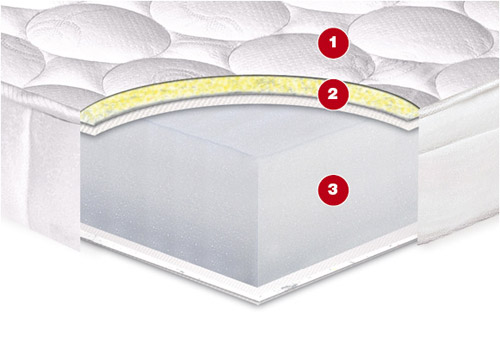 Roll-packed mattress with memory